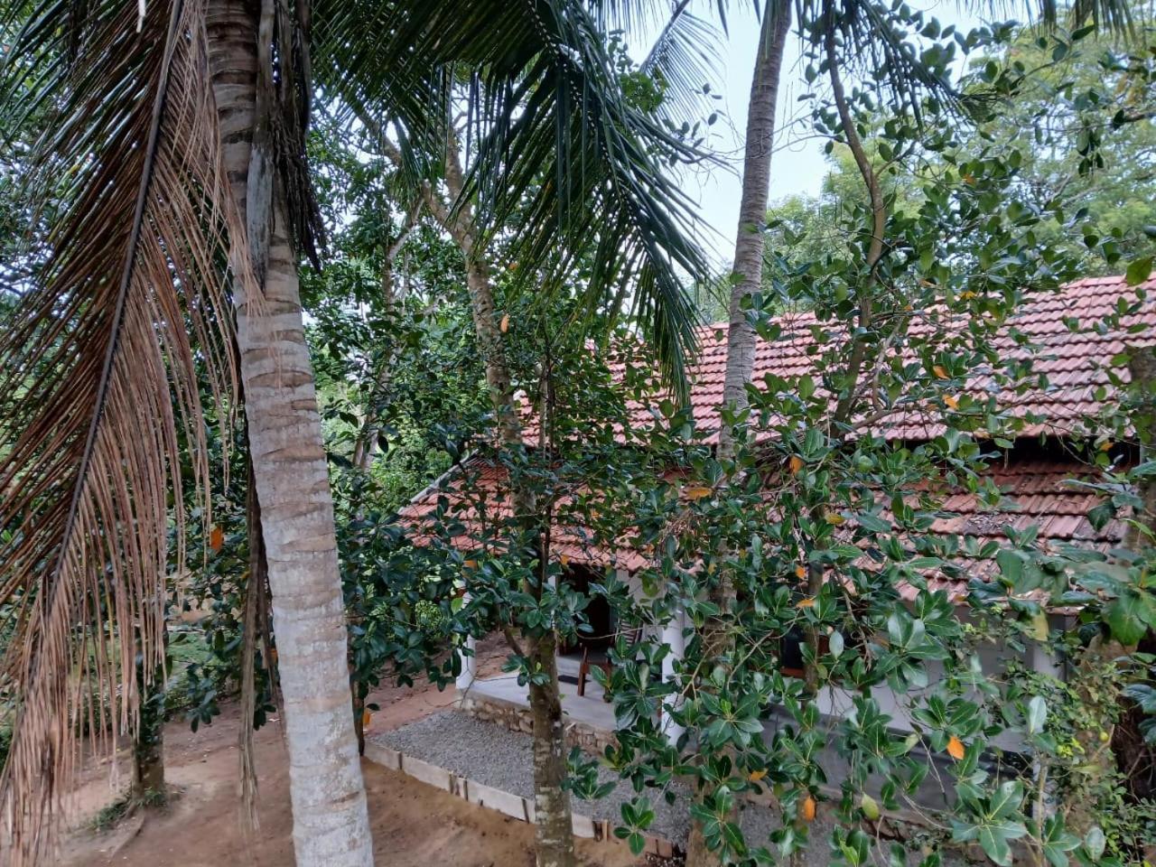 Hotel Lagoon Birds - Tangalle Exterior foto