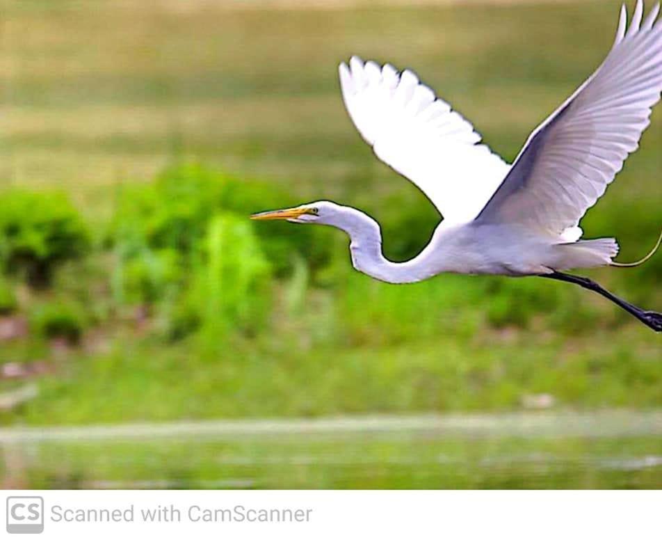 Hotel Lagoon Birds - Tangalle Exterior foto